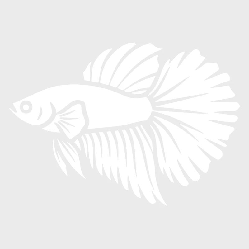 Betta Fish Aquarium Vector