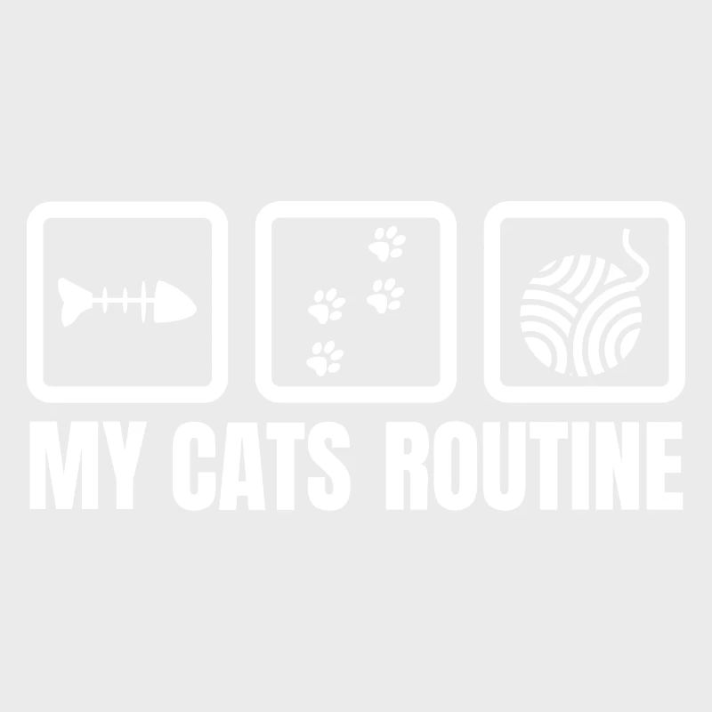 My cat's routine