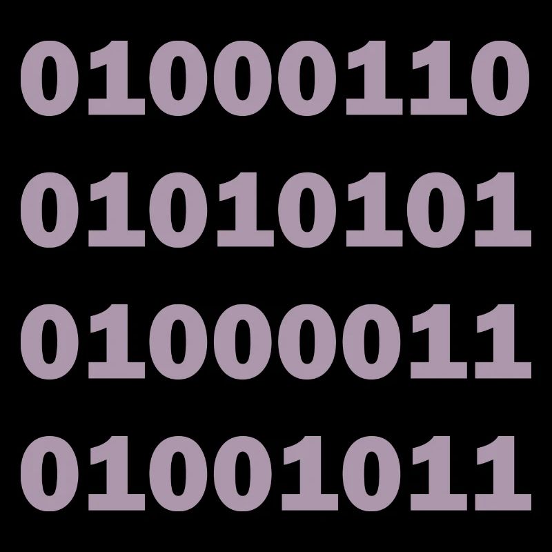 Binär Code Fuck
