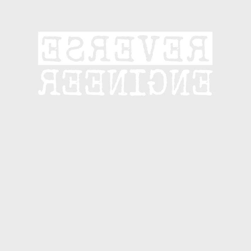 Reverse Engineer Softwareingenieur Developer