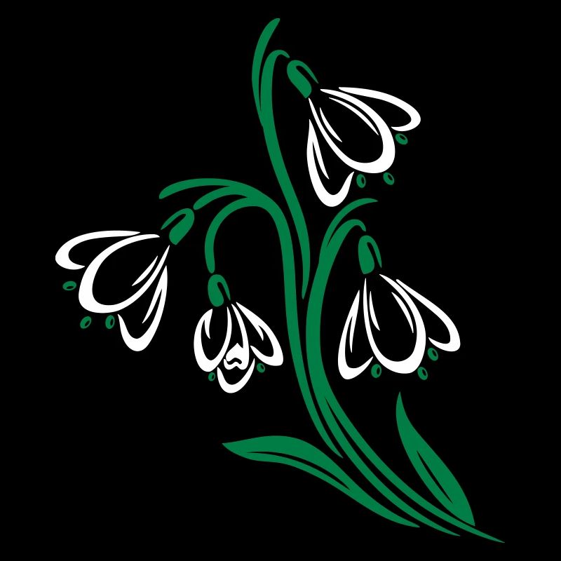 Snowdrop Spring Flowers Spring Flowers