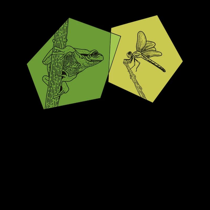 Toad, tadpole, tree frog, frog breeder, frog