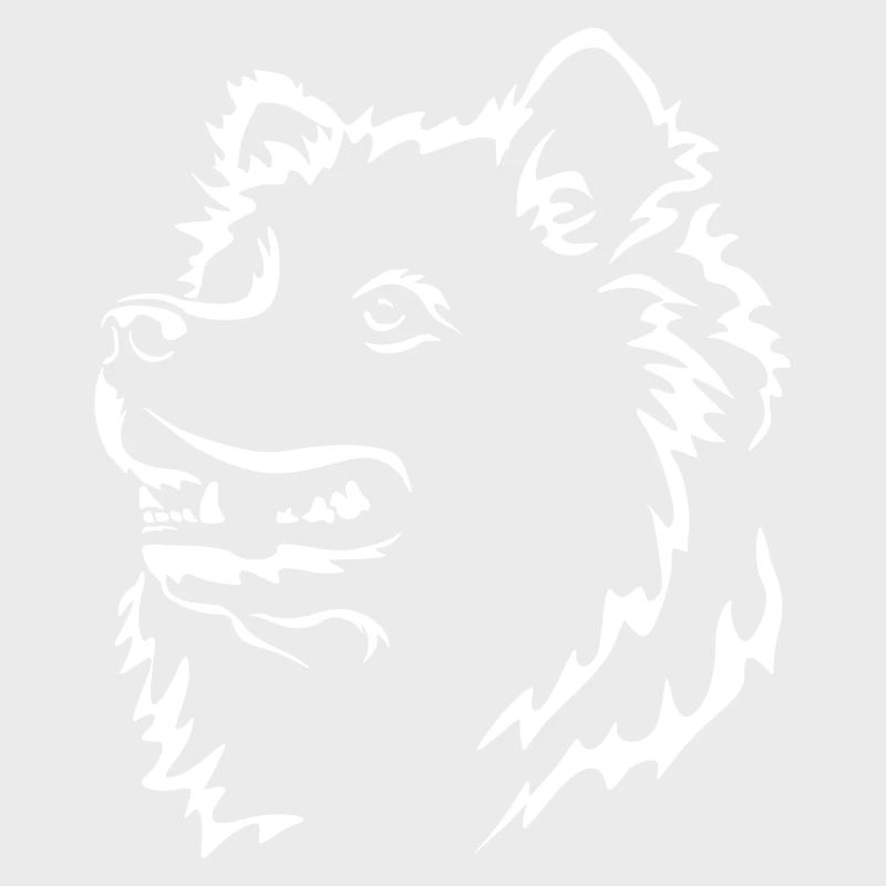 Samoyed Head "Black Edition"