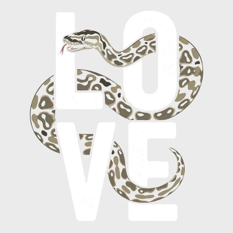 Königspython Schlangen LOVE Terrarium Python