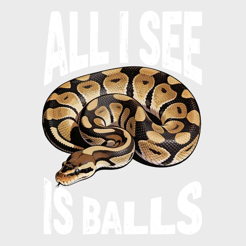 Königspython Schlangen Liebhaber Terrarium Python