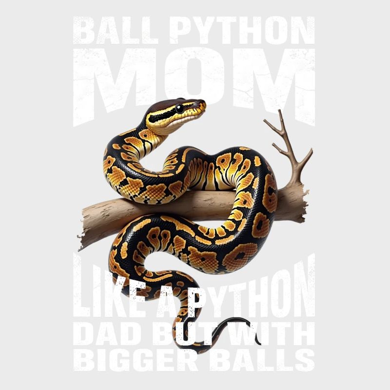 Königspython Mom Mama Schlangen Terrarium Python