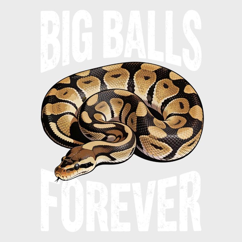 Python roi Serpents Amateurs de terrarium Python