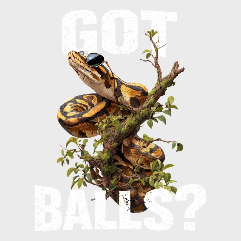 Python roi Serpents Amateurs de terrarium Python