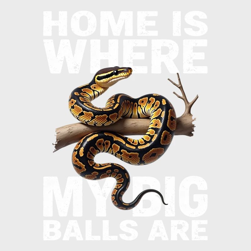 Python roi Serpents Amateurs de terrarium Python