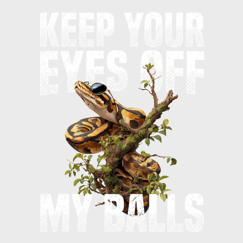 Königspython Schlangen Liebhaber Terrarium Python