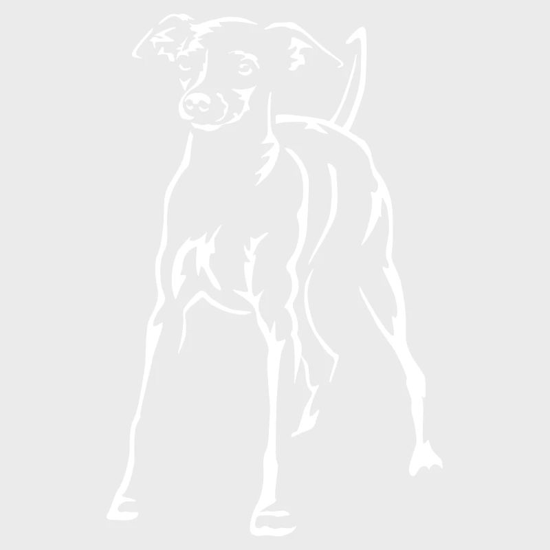 Dwarf Pinscher "Black Edition"