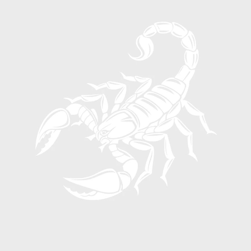 Skorpion - Giftstachel - Artenschutz - Lebensraum