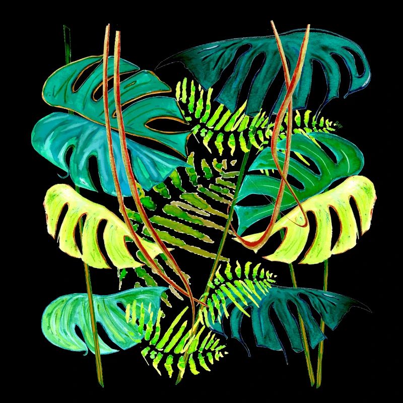 Monstera Rainforest