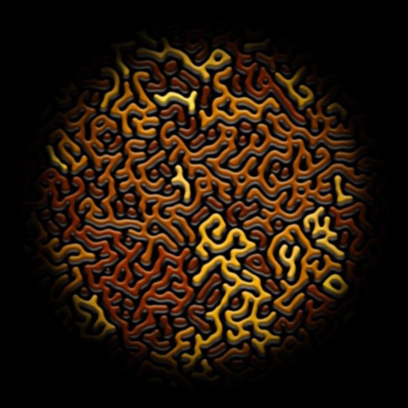 Turing Pattern