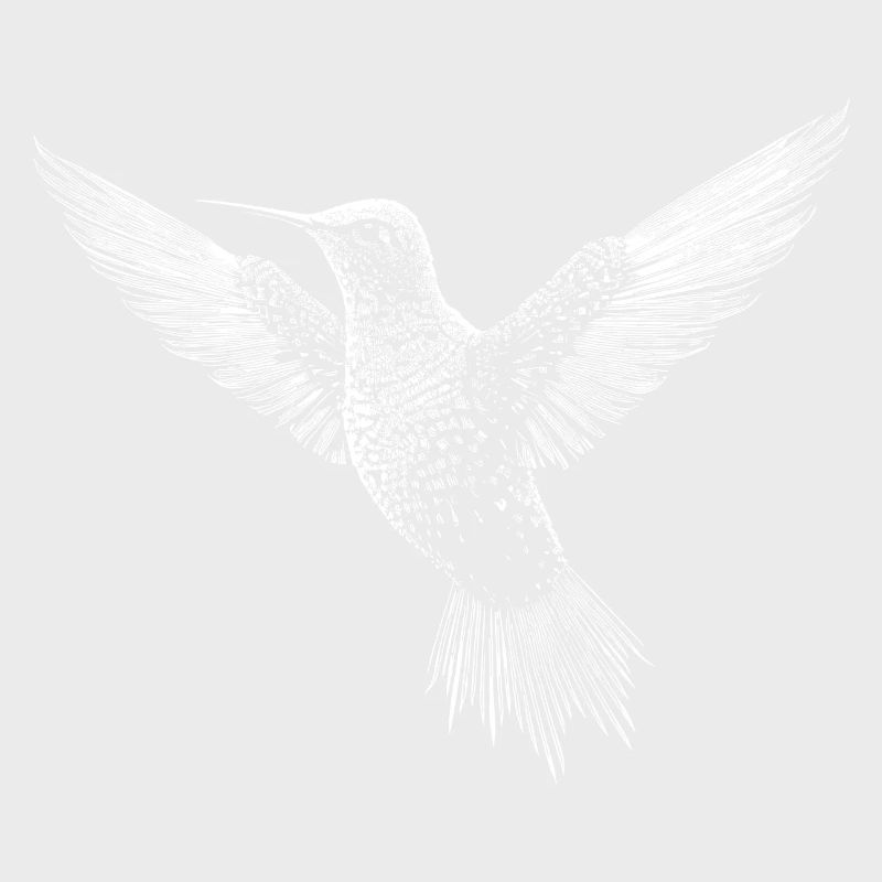 Hummingbird, cute bird in ASCII code