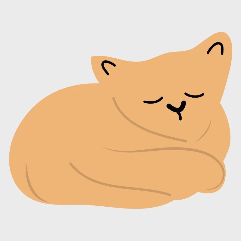 Bébé chat endormi2