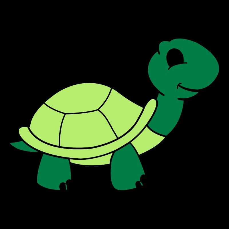 schildkroete_002
