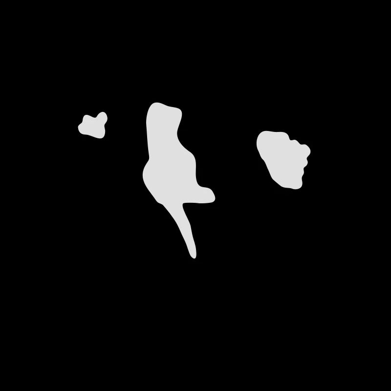 Tinker, Pinto, Barock Pinto, Schecke Silhouette