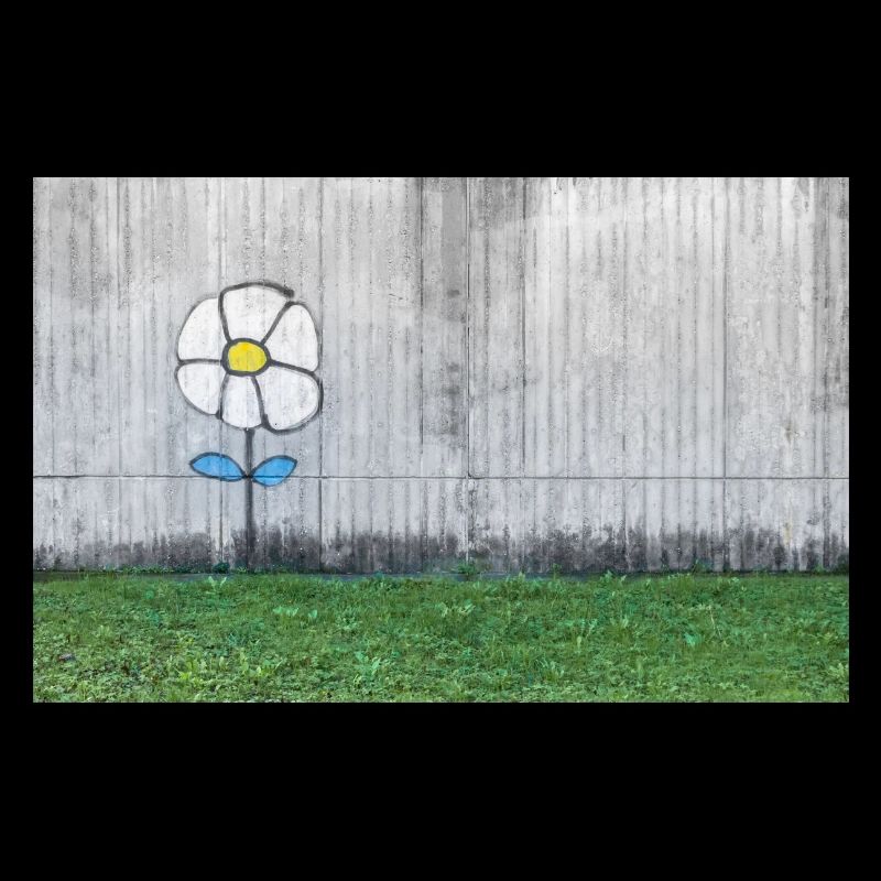 Graffiti eines Gänseblümchens