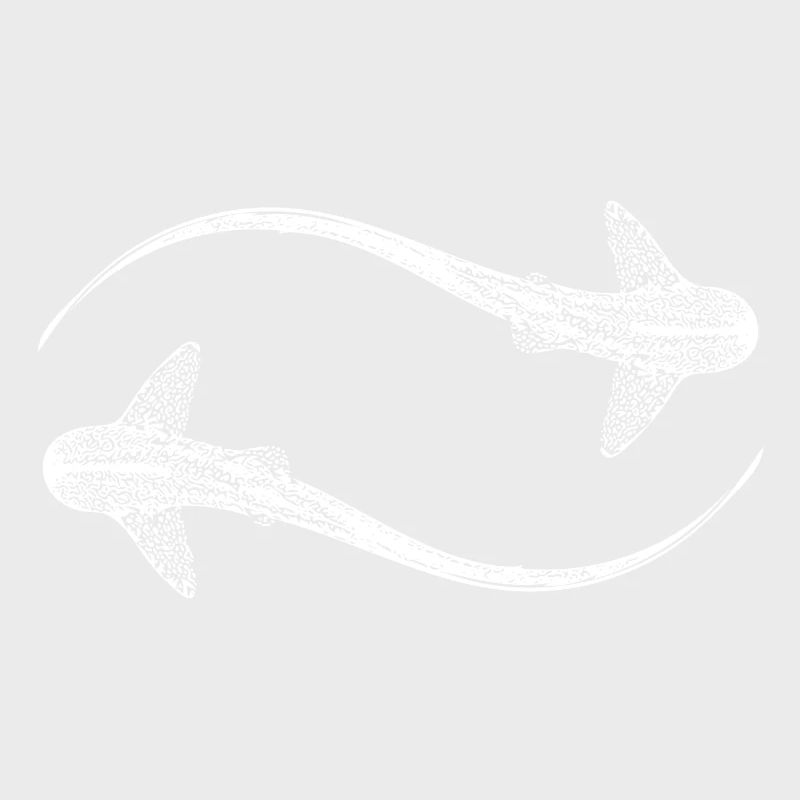 Elegant leopard sharks - Triakis semifasciata