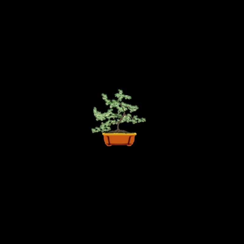 Bonsai