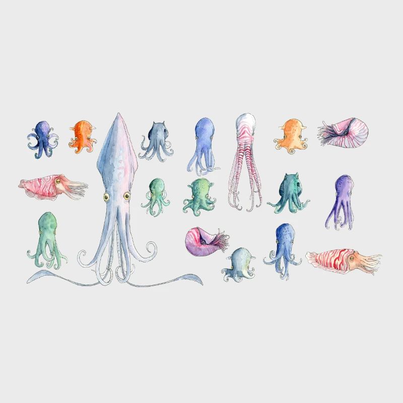 Octopus rapport
