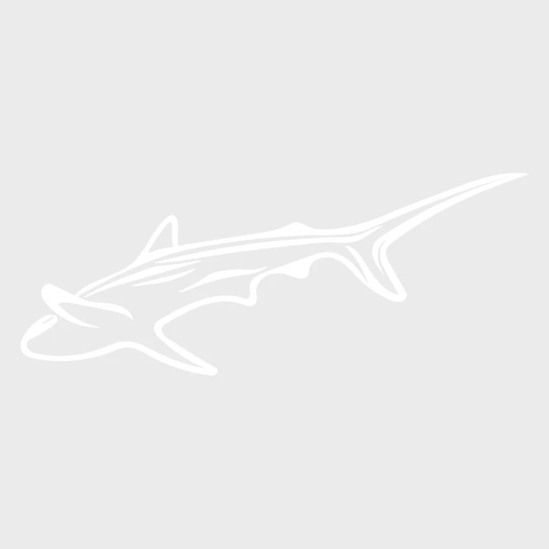 Requin élégant dans le courant de dérive