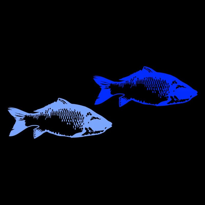 Poissons 2