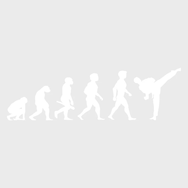 Evolution Karate Kampfsport