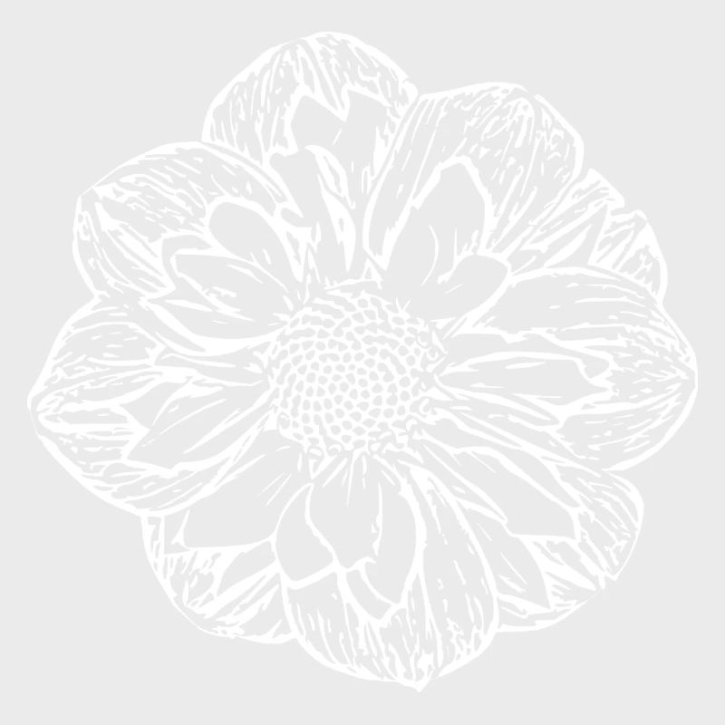 Fleur, Blanc, Fleur Blanche