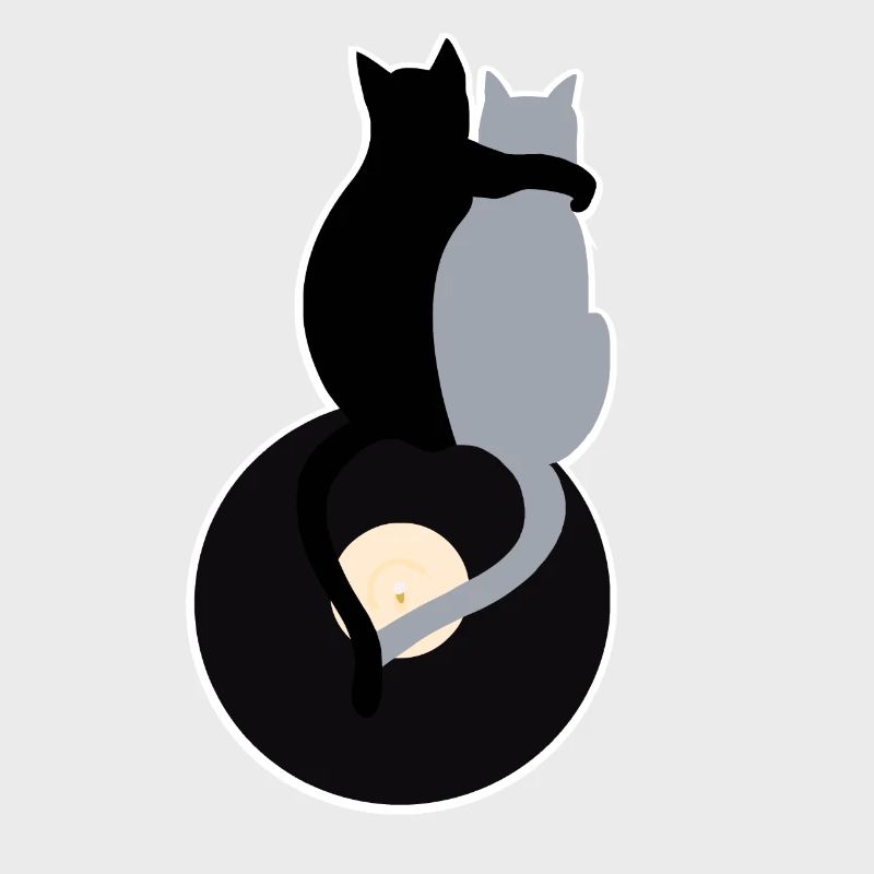 katze vinyl schallplatte freundschaft geschenk mus