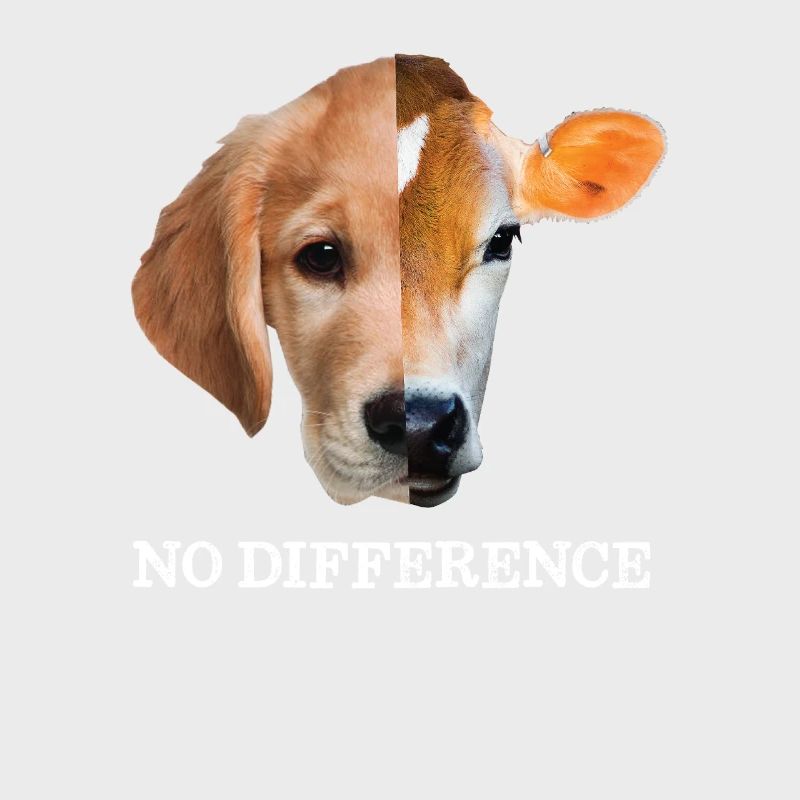 No difference Vegan