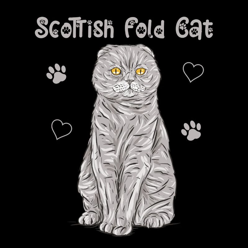Scottish Folding Ear Cat Scottish Fold Gift
