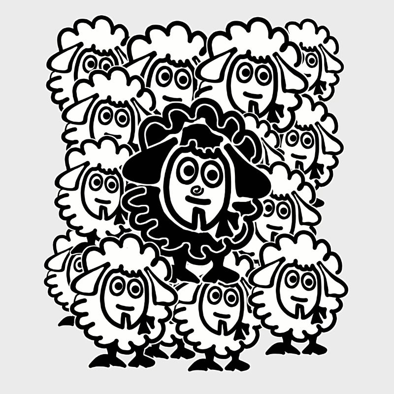 Beaucoup de moutons