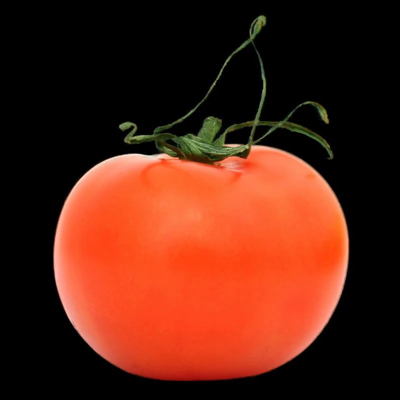 tomate