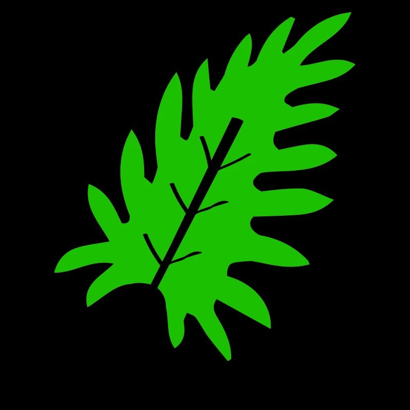 Scheda 2