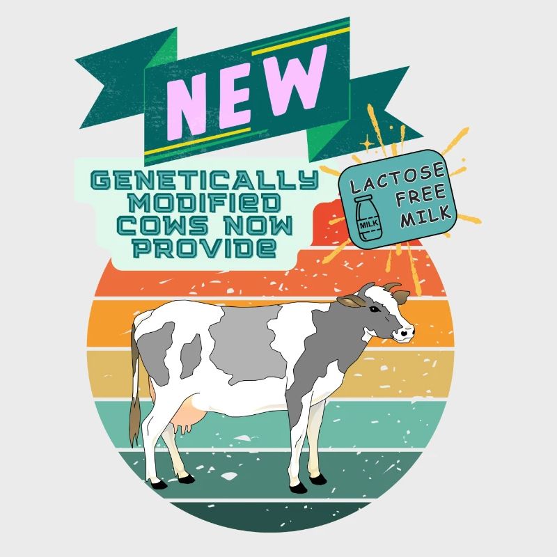 genetically modified cows