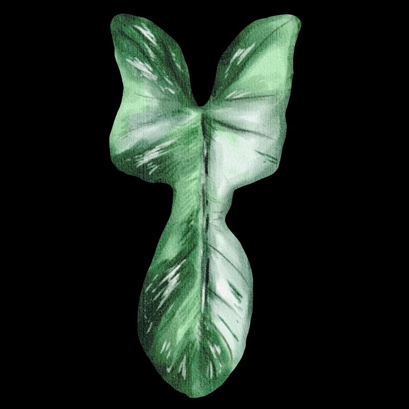 Philodendron Florida Ghost Variegata