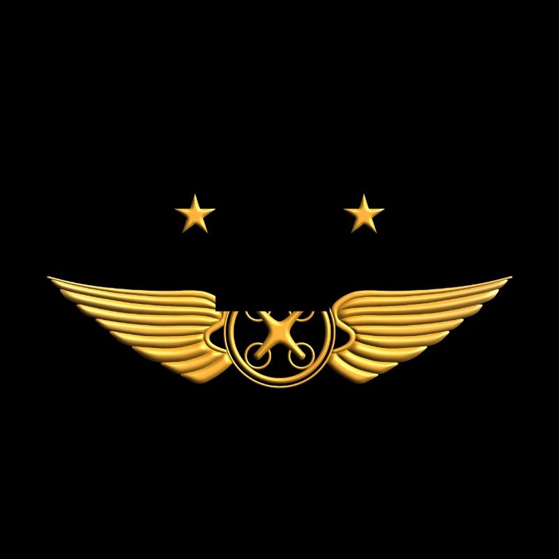 Drone Pilot Drone Fly Drone Pilot