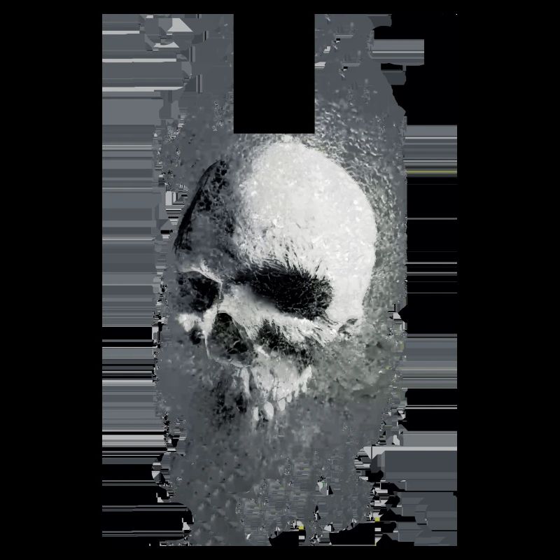 skull bug