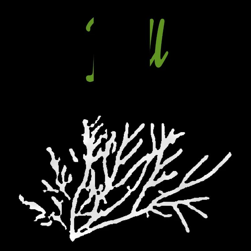 Herbes à l’aneth