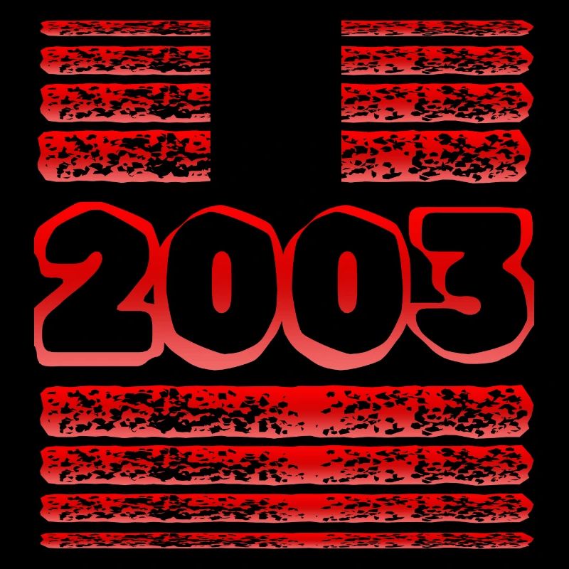 Année 2003