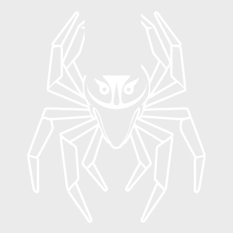 Spider spiders animals