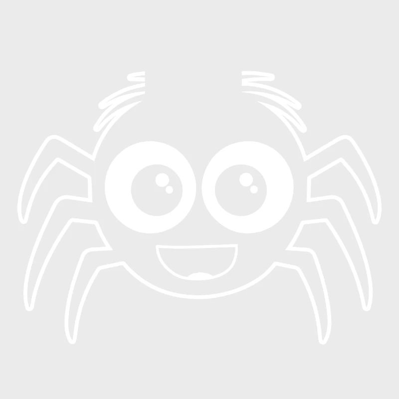 Spider spiders animals