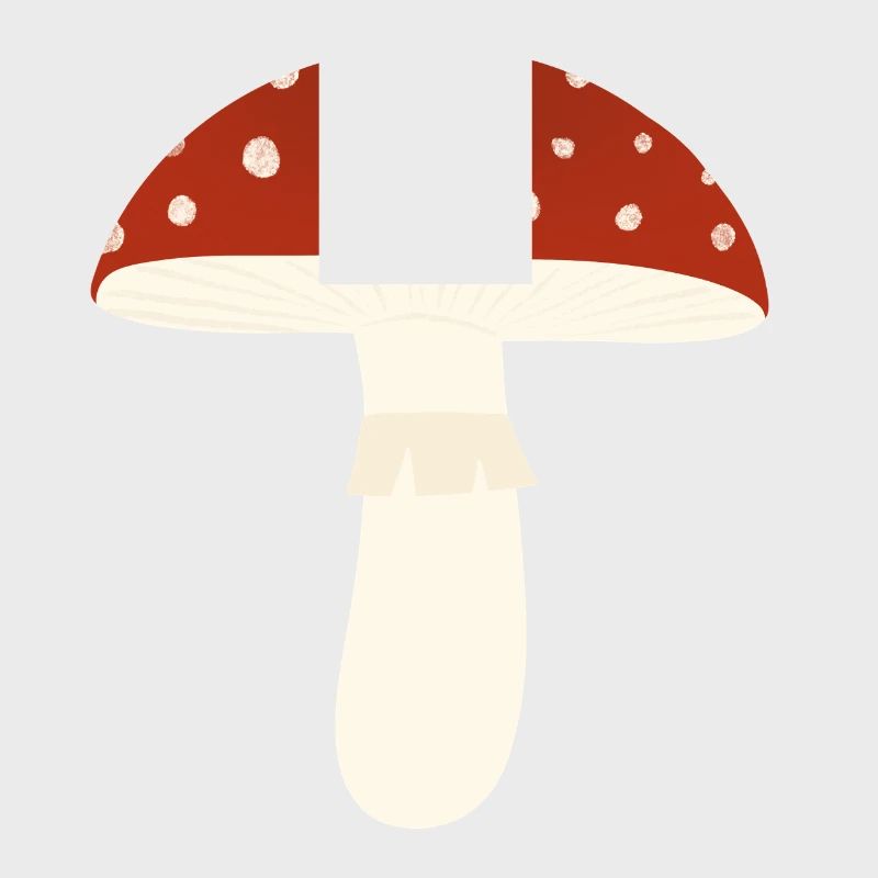 Toadstool Fly Agaric Mushroom