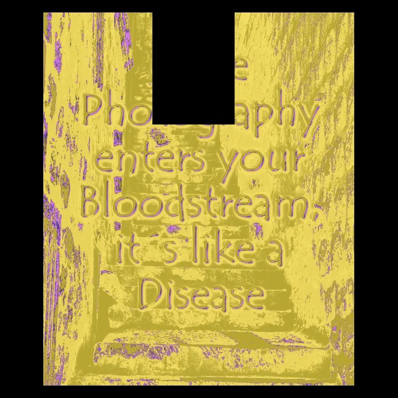 Maladie phtotographique olive