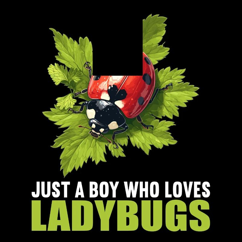 Ladybug Marienkäfer