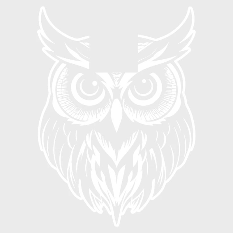 Eule Eulen Vogel Vögel