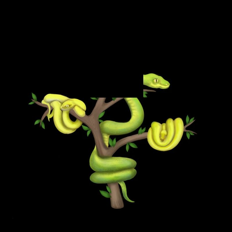 Le Python vert - Python arborescent