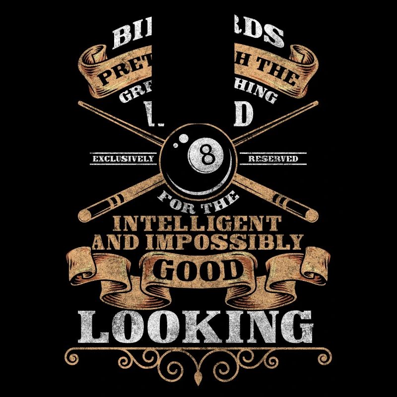 Billiard Game Pub The Master